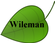 Wileman Leaf2